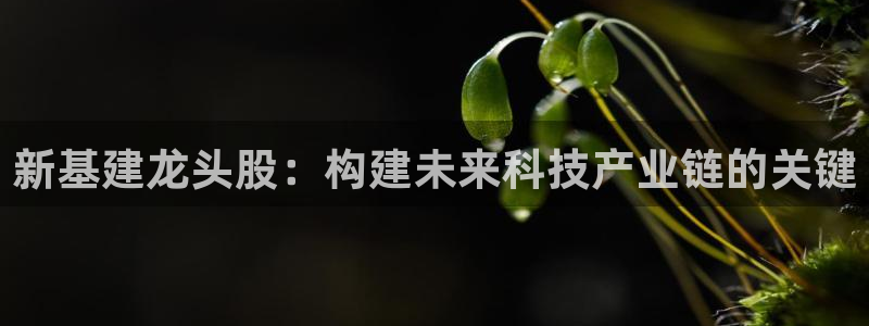 风暴娱乐官网开户